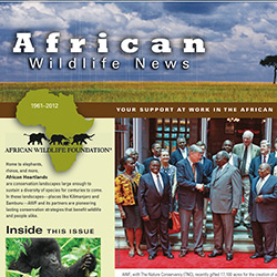 AWF Newsletters
