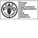 Food and Agriculture Organisation of the United Nations Logo