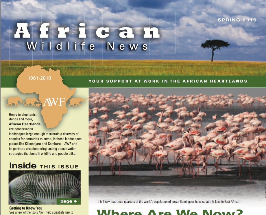 Member Newsletters African Wildlife Foundation