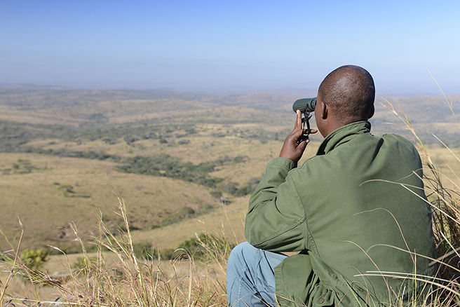 A ranger monitors activity atop a hill at Hluhluwe iMfolozi Park in South Africa. Photo by: Billy Dodson