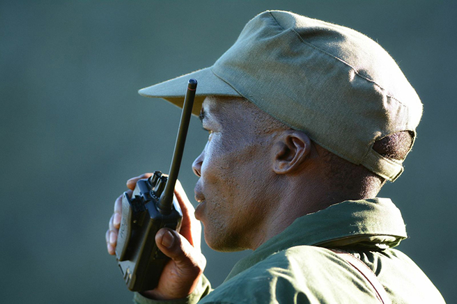 Wildlife ranger with walkie talkie in South Africa&#039;s Great Fish River Nature Conservancy. Photo by: Billy Dodson
