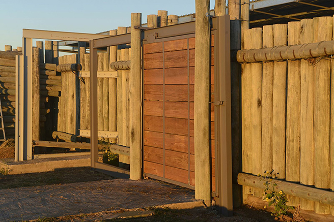 The new boma, an enclosure for rhinos, at Great Fish River Nature Reserve in South Africa. Photo by: Billy Dodson