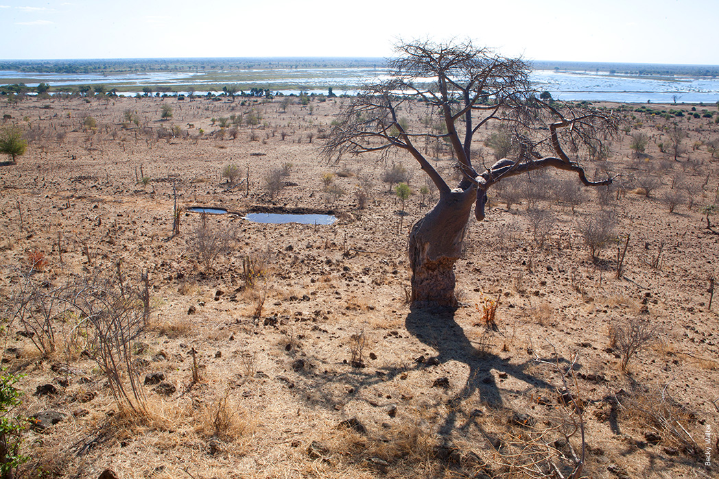 Botswana at emaze Presentation