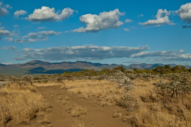 Chyulu Hills in Kenya