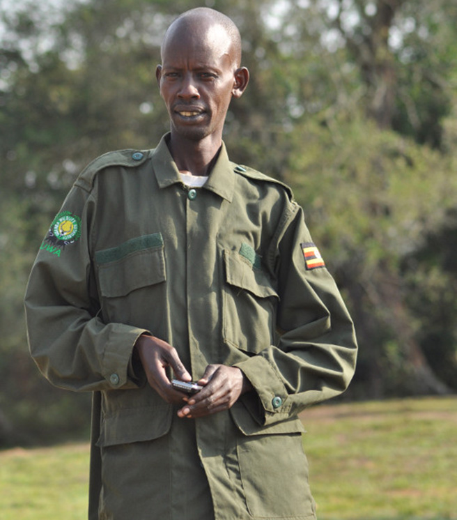 Uganda Wildlife Authority (UWA) ranger in uniform
