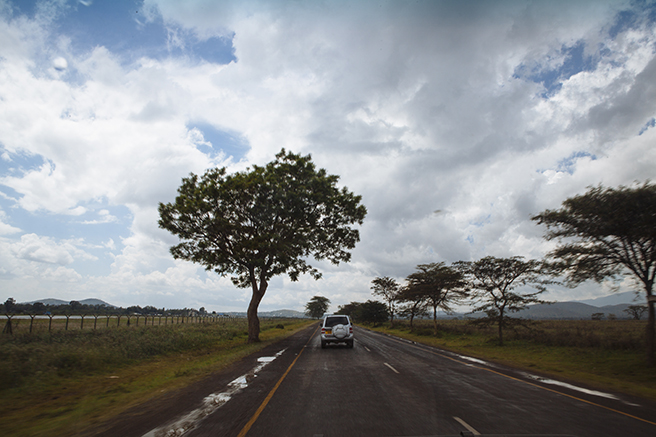 Manyara Ranch safari photographed by Dan Duran