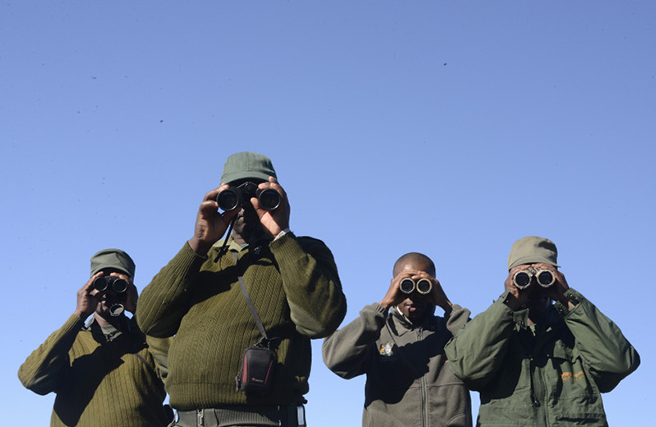 Wildlife rangers with binoculars. Photo: Billy Dodson