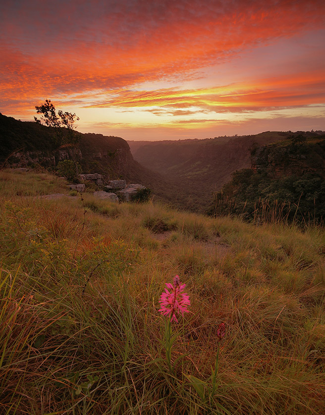 Krantzkloof Nature Reserve was taken by Andrew McKay