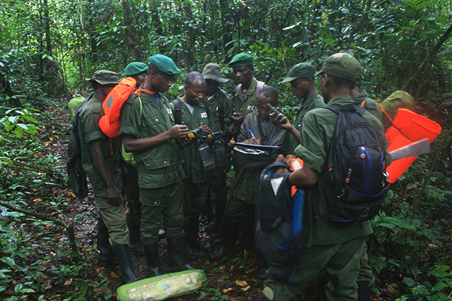 Eco guard training in Iyondji Community Bonobo Reserve