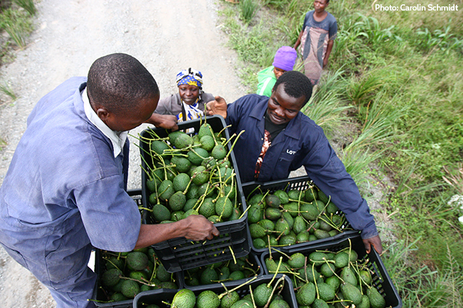 Growth Corridors as Opportunities for Conservation in Africa