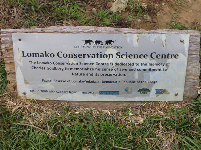 Lomako Conservation Science Center in Democratic Republic of Congo. Photo by Jef Dupain