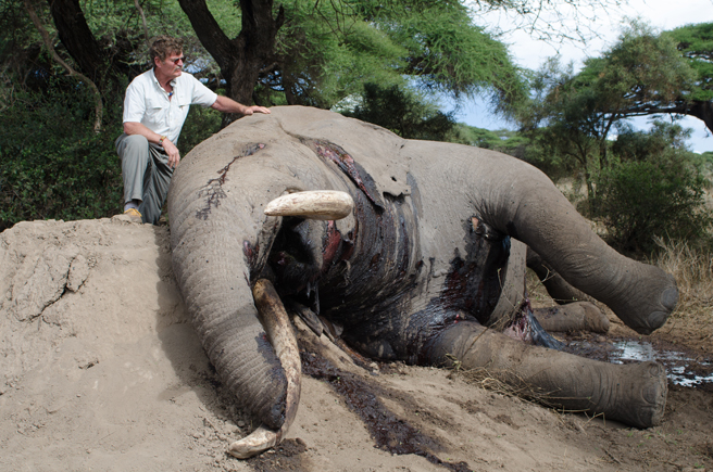 AWF Board Chair David Thomson reflects on the death of an elephant bull near Amboseli National Park.