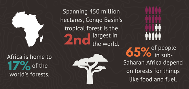 Get the Scoop on Deforestation in Africa