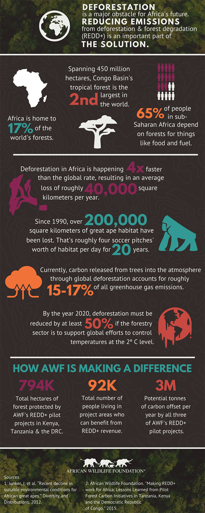 Africa&#039;s Deforestation Infographic