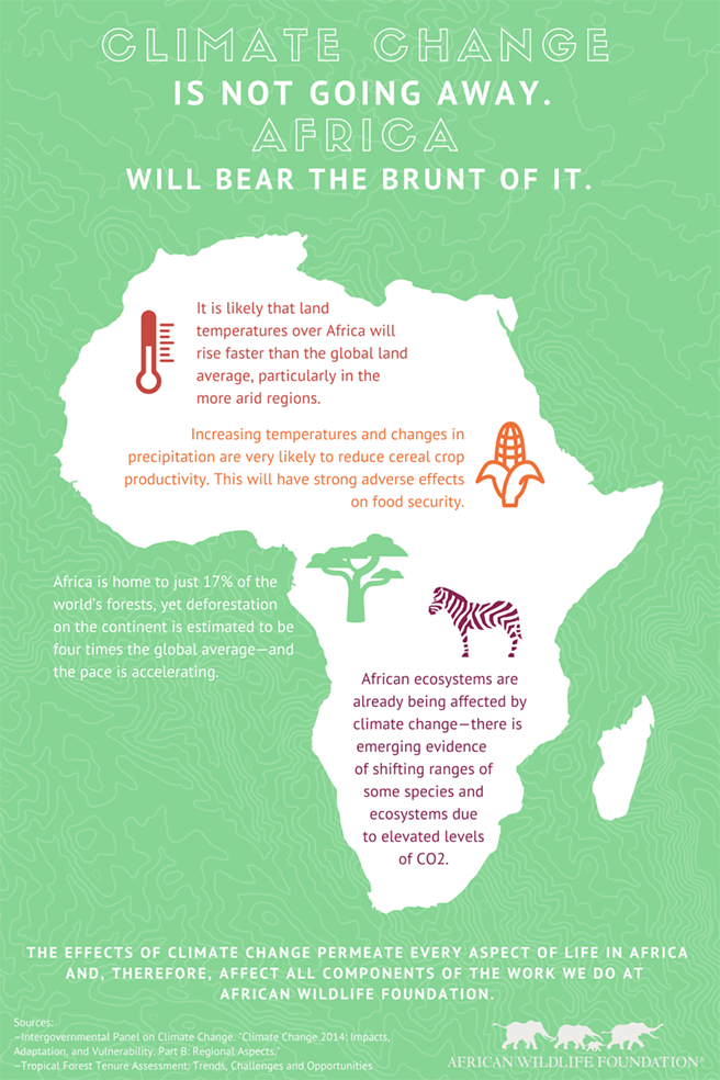AWF&#039;s infographic showing the many ways climate change is affecting Africa