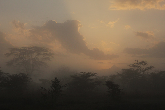 Dawn at Ol Pejeta Conservancy in Kenya. Photo by Olivia Cosby
