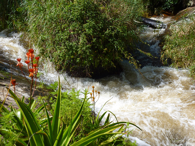 Imatong Watershed