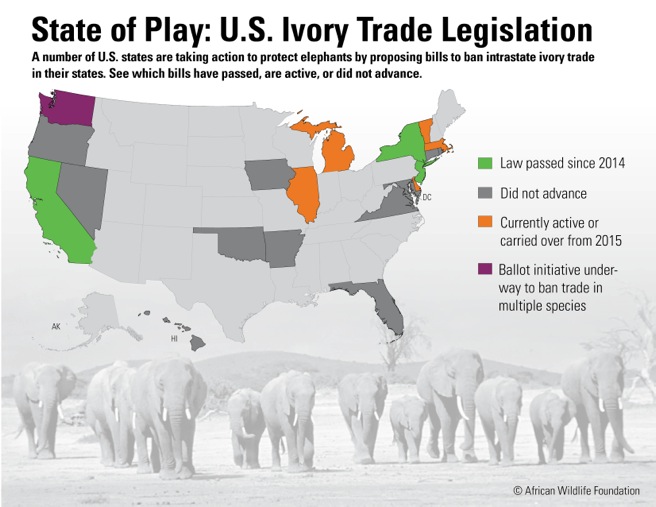 Map of U.S. state legislation on ivory trade