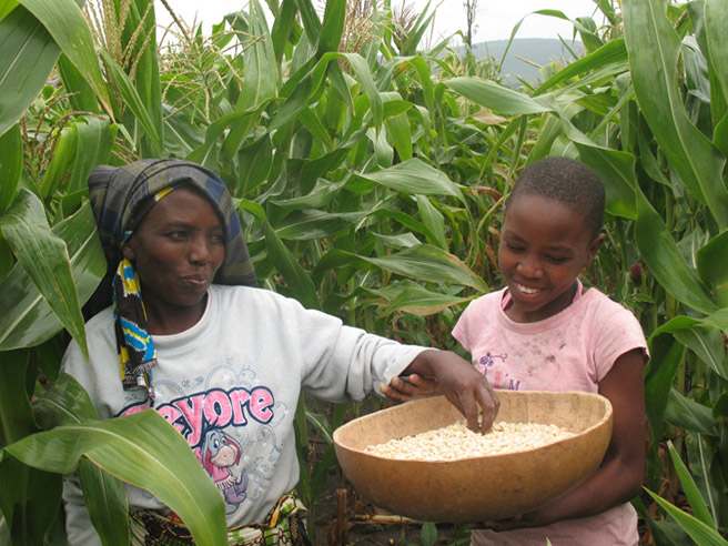 Kondoa Harvest