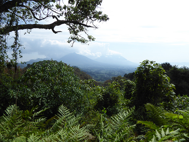 Mt. Bisoke, Virunga Mountains