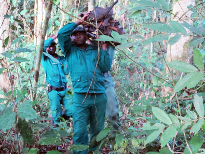 Ecoguard rangers in Cameroon