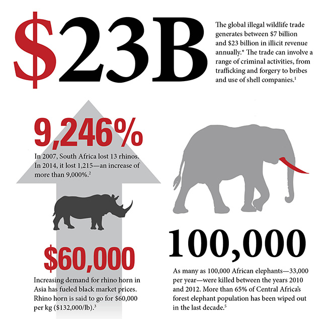 AWF's wildlife crime infographic