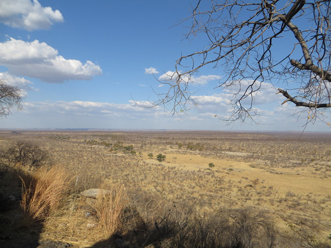 Zimbabwe/Southern Africa AWF scoping trip