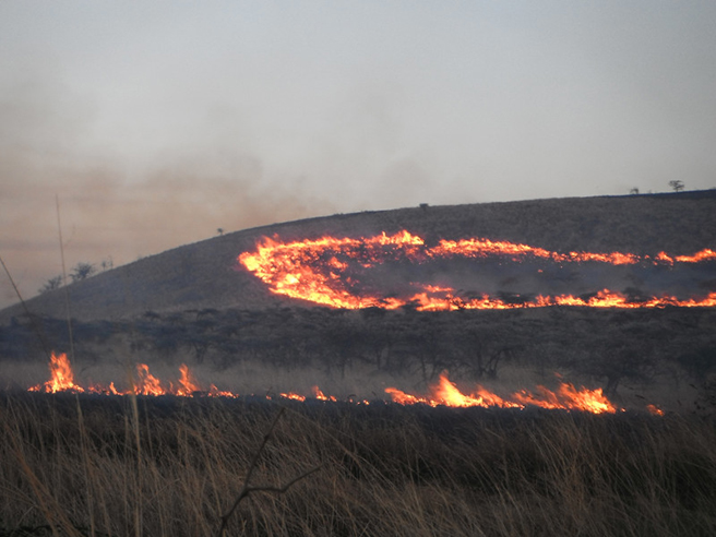 Chyulu Hills fire