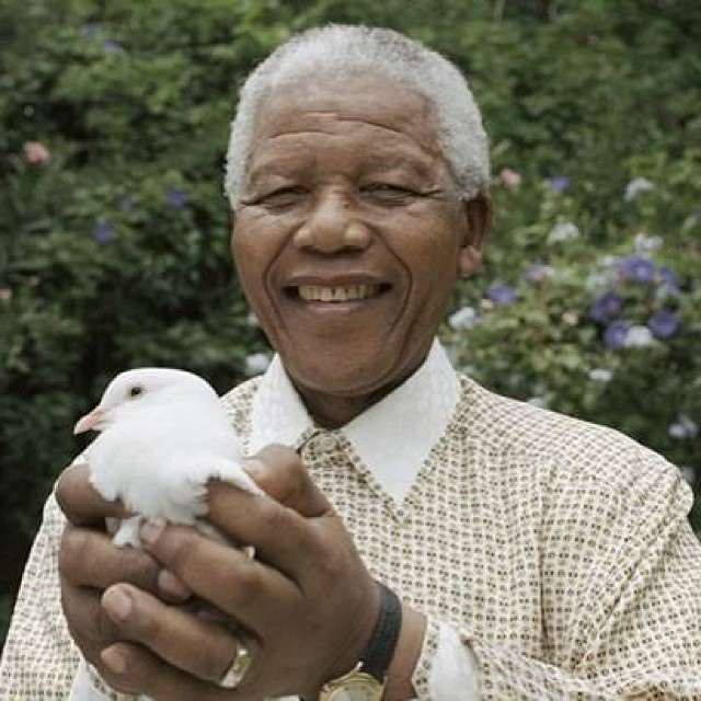 Nelson Mandela with dove