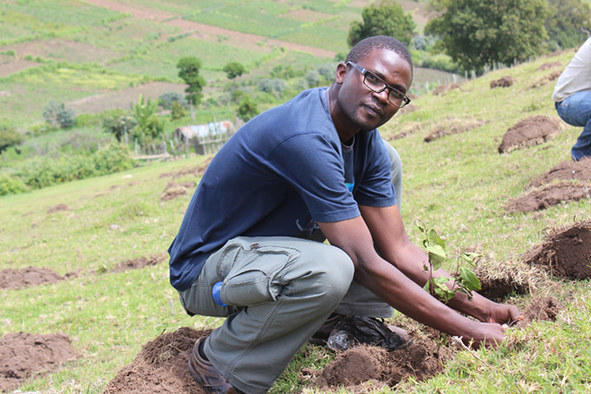 AWF Conservation Management Trainee George Okwaro plants trees in the Mau Forest Complex