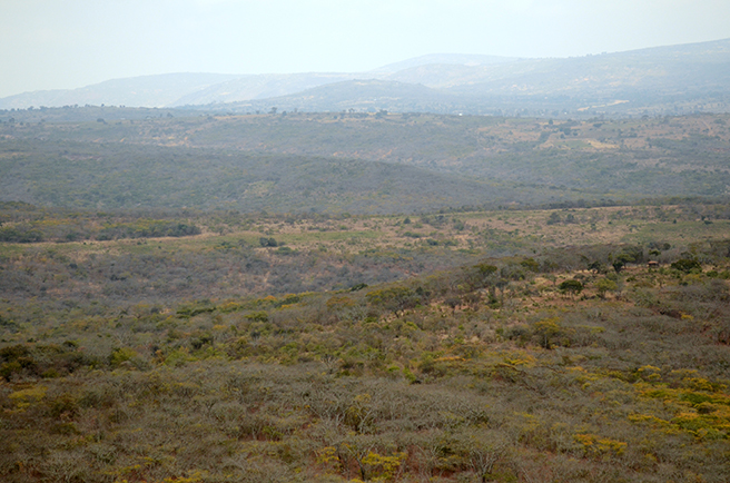 Kolo Hills Landscape