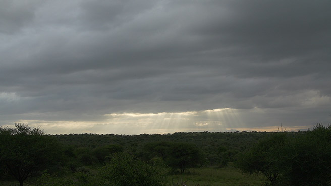 Manyara Ranch Conservancy