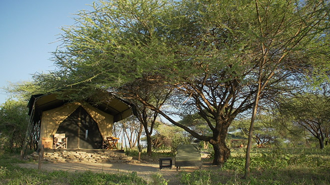 Manyara Ranch Tented Camp. WILD to INSPIRE