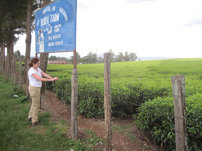 Photo of Leslie examining coffee plants at a coffee farm in Kenya. Photo by: Leslie Funk