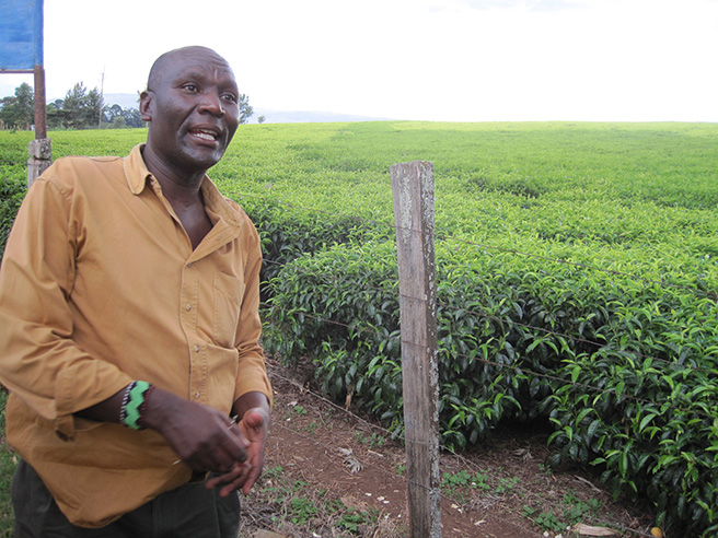 A guide explains Kenya&#039;s coffee farming business to the GMU students. Photo by: Leslie Funk