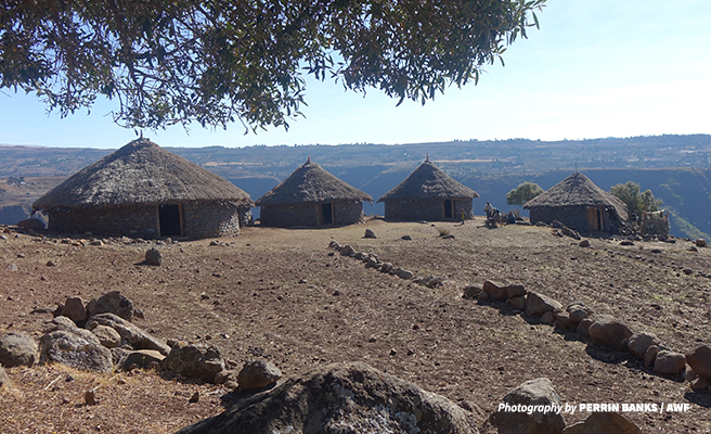 Tourism facilities owned and operated by local communities