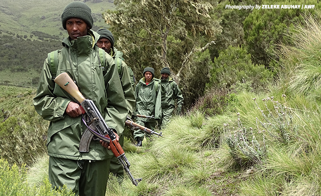 Ethiopian Wildlife Conservation Authority Scouts