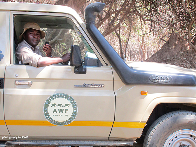 Simon Muchatibaya in an AWF Land Cruiser