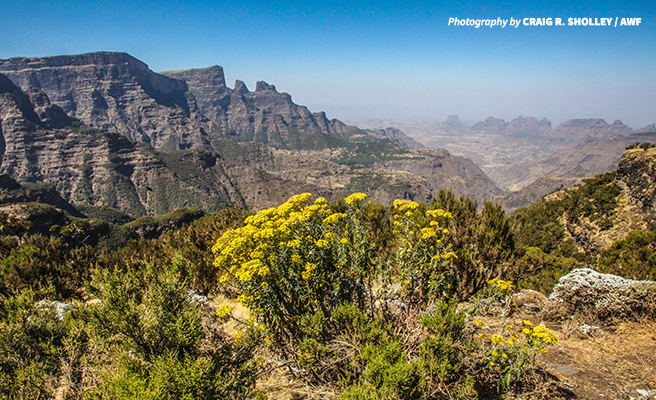 Ethiopia&#039;s Simien Mountains