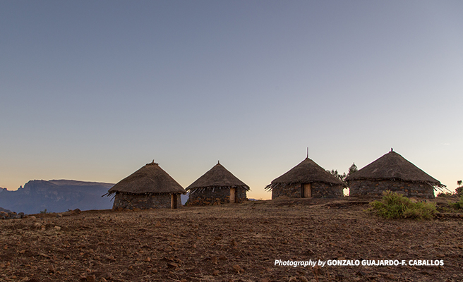 Simien communities