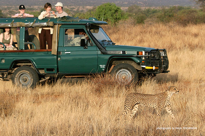 Safari truck