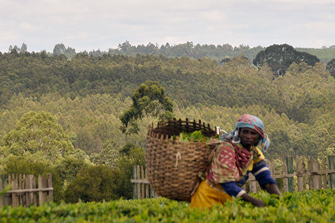 In Tanzania, Conservation Benefits Communities