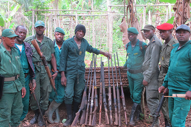 Anti-poaching patrols in Dja