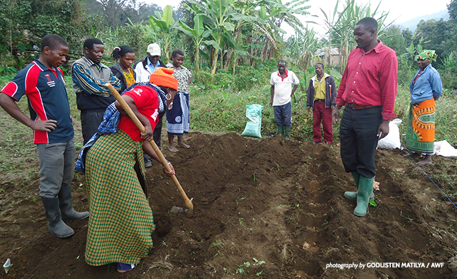 Farmers in southern Tanzania