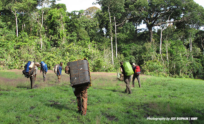 Image of conservationists trekking in Dja Biosphere Reserve