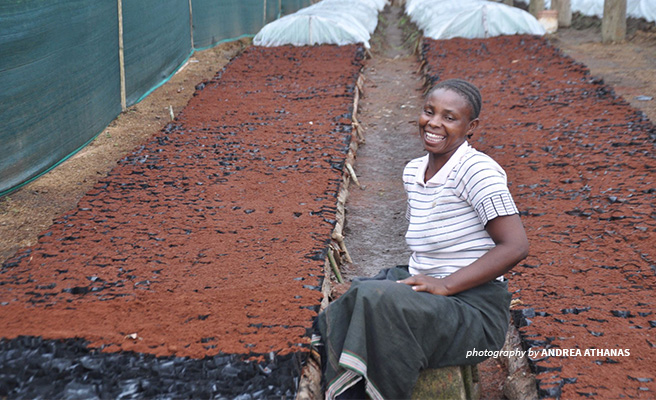 Image of a woman in agriculture on a farm in Tanzania.