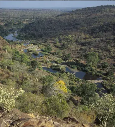Mozambique landscape