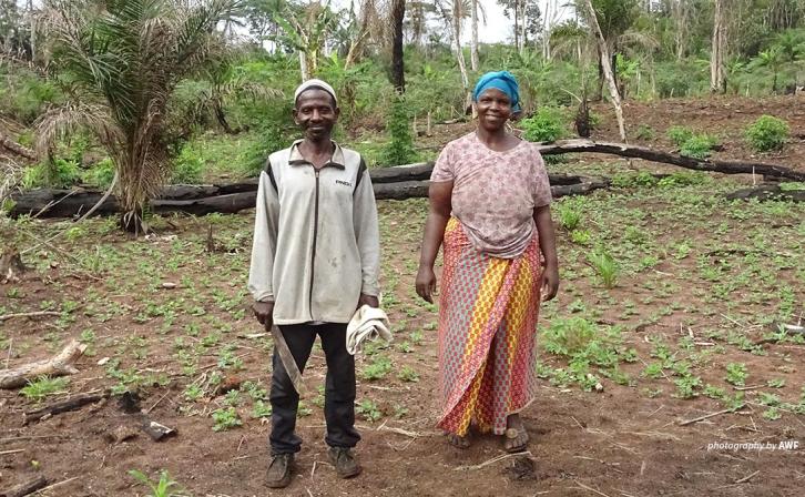 Cassava farmers in DRC