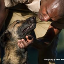 Close-up photo of AWF-trained wildlife detection sniffer dog and expert dog handler