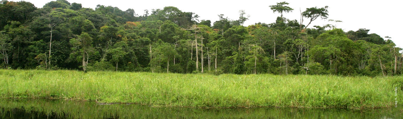 Democratic Republic of the Congo